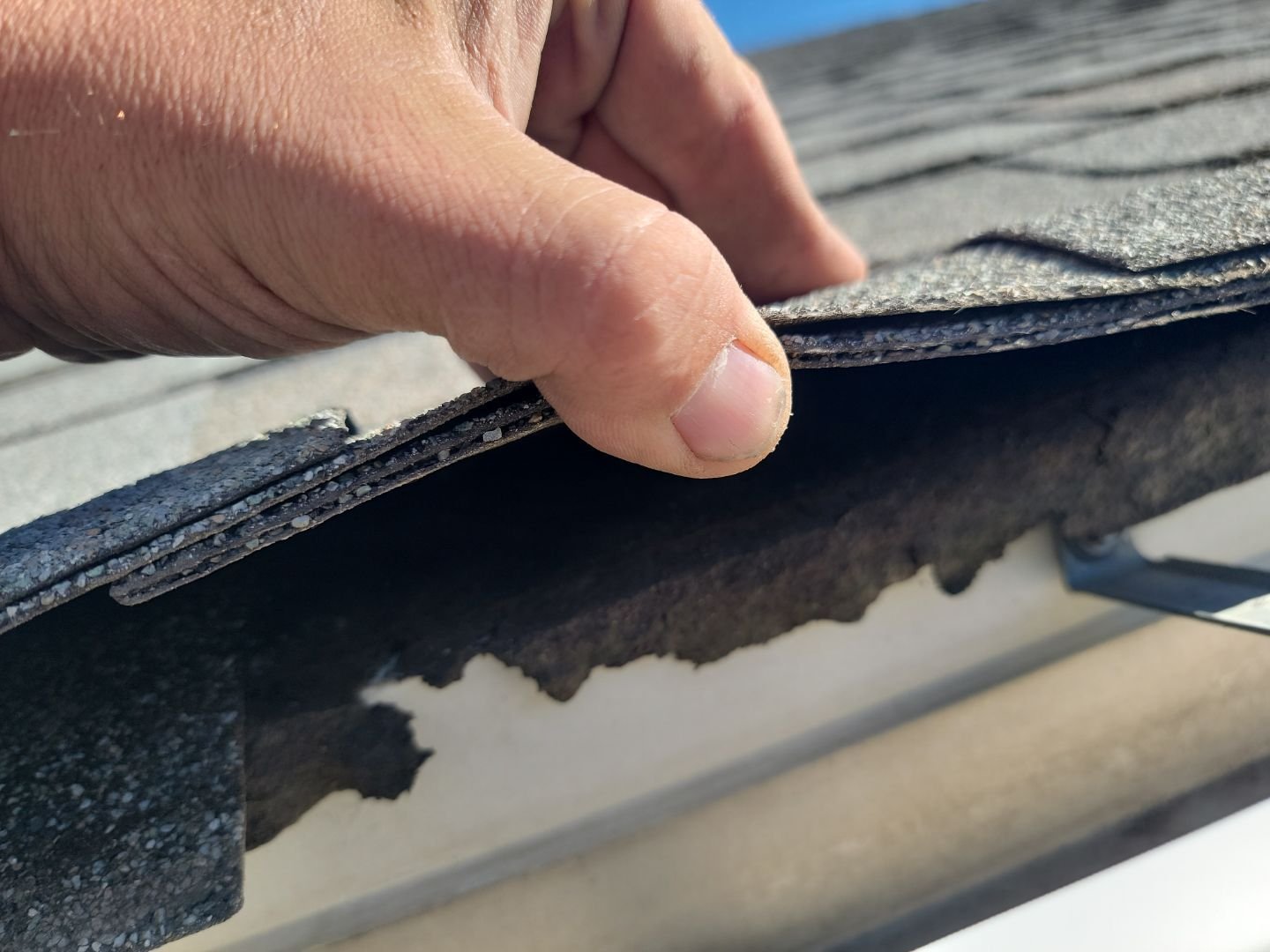 Asphalt Shingle Roof