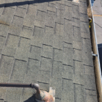 asphalt shingle roofing near me